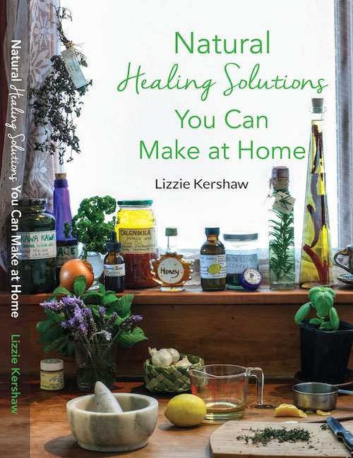 Natural Healing Solutions Book